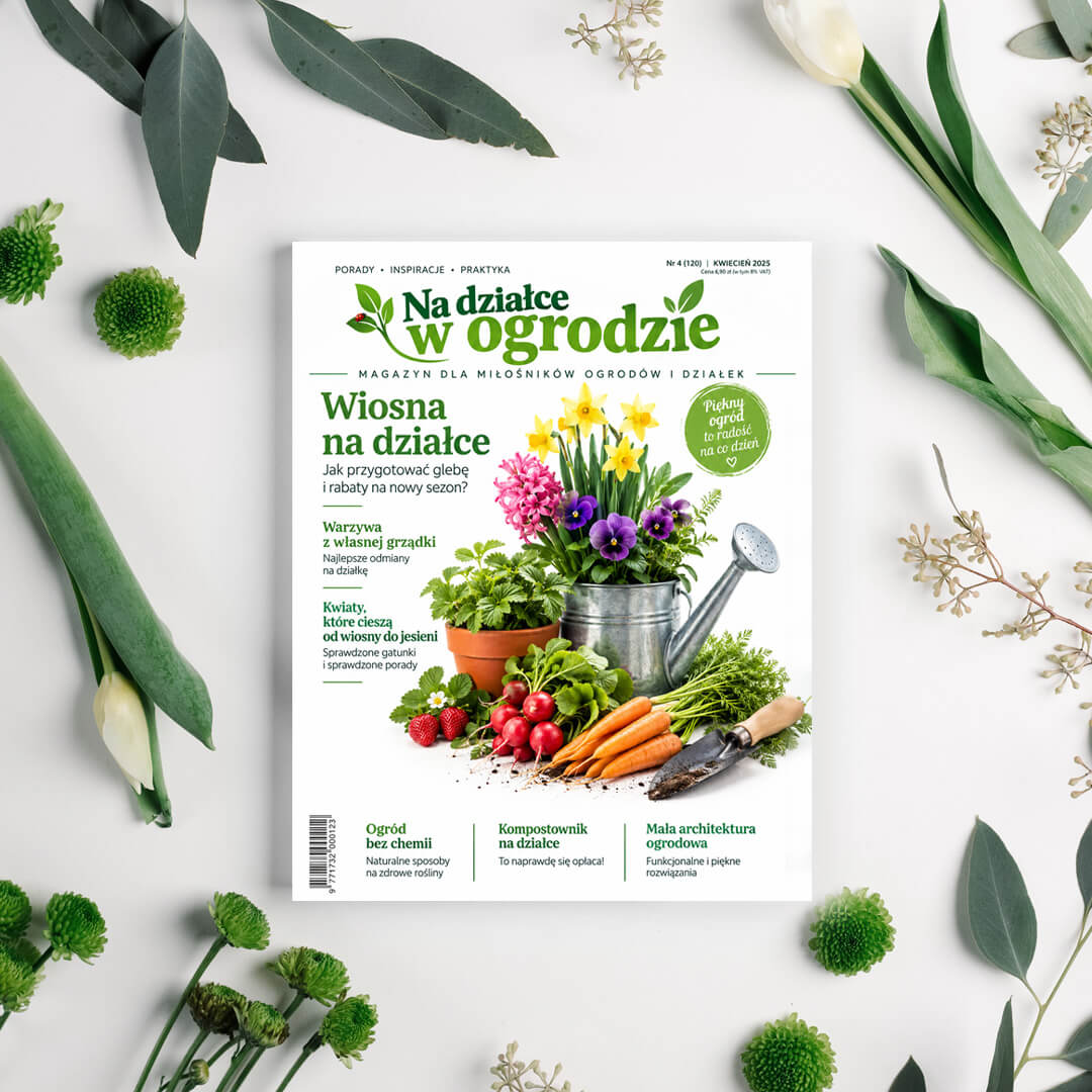 magazyn na dzialce